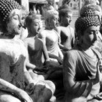 John Shea O'Donnell Photography, San Francisco